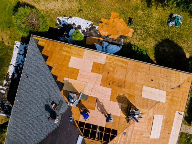 Questions to Ask Your Roof Repair Contractor Before Hiring