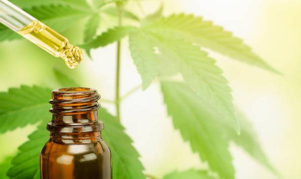 The Rise of CBD Oil: What It Means for Natural Health